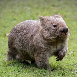 Meet your Posher, Regina